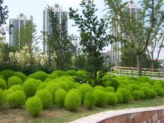 -苏州河梦清园环保主题公园