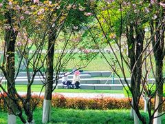 -重庆中央公园(渝北区)