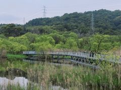 -西湖风景区-江洋畈生态公园
