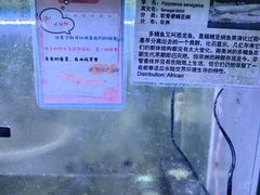 -上海大自然野生昆虫馆
