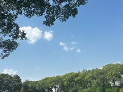 -金银湖国家城市湿地公园