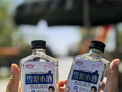 -赵州桥景区