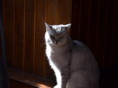 -不舍昼夜咖啡馆