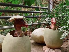 -呀路古热带植物园