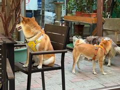 -豆舞咖啡(民乐路店)