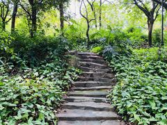 -佛山祈福仙湖酒店