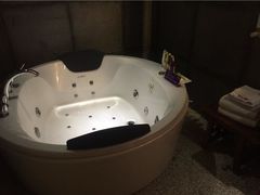 -天鹅恋