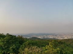 -东莞市大岭山森林公园