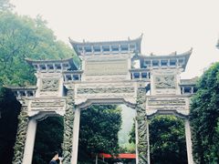 -云碧峰国家森林公园