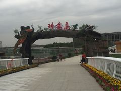 -武清南湖绿博园