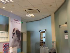 -瑞派申生动物医院·24H夜诊·国际动物医疗中心·骨外科(吴中路店)