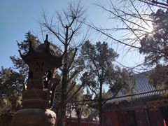 -洛阳白马寺