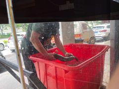 -大鼎石锅鱼(春江里店)