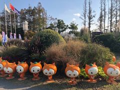 -上海长兴岛郊野公园