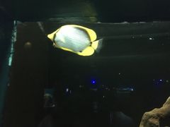 -大连圣亚海洋世界
