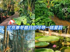 -北京植物园-展览温室