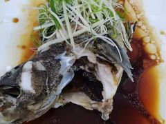 清蒸青斑鱼-锦粤宫·精致粤菜(深圳北站店)