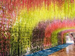 -济南方特东方神画