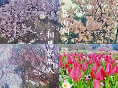 -南山植物园