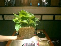 -手选潮汕鲜活牛肉火锅(二七广场店)