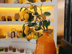 -Dragonfly悠庭·按摩Spa(浦东嘉里城店)