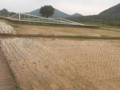 -艾米稻香小镇