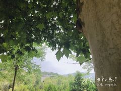-花亭湖风景名胜区