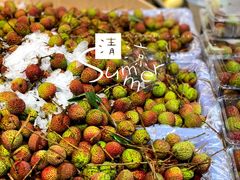 -T11生鲜超市(朝阳公园店)