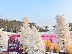 -盈香心动乐园