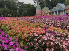 -松山湖梦幻百花洲