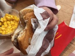 -麦当劳(北苑秋实路店)