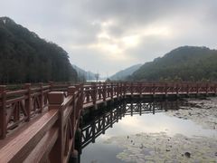 -广州市石门国家森林公园