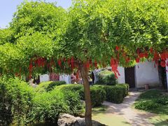 -花洲书院