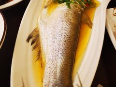 清蒸白丝鱼-逸林轩中餐厅(中信泰富朱家角锦江酒店)