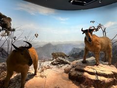 -陕西自然博物馆