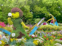 -上海共青森林公园