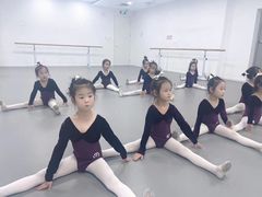 -西安小天鹅艺术团(金花路校区)