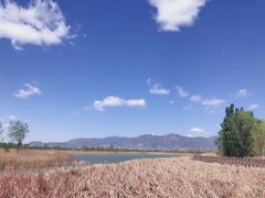 -野鸭湖国家湿地公园
