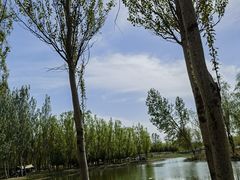 -东郊湿地公园