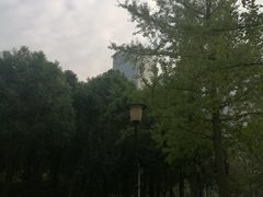 -重庆市江北嘴中央商务区中央公园