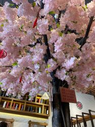 -简影造型·自选烫染接发salon