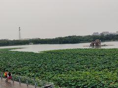 -大兴滨河森林公园