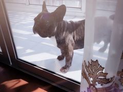 -骐奇宠物诊疗中心(南亭公路店)