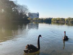 -东华大学(松江校区)