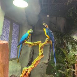 -Zoolung Zoolung动物主题公园(海信广场店)