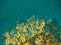 -叠溪松坪沟景区