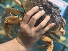 面包蟹-范饭椰林川湘味海鲜·椰子鸡(三亚湾椰梦长廊店)
