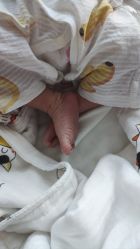 -大美母婴月子中心(虹桥店)