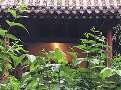 -西安曲江寒窑遗址公园