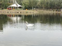 -吉林大学(前卫南区)